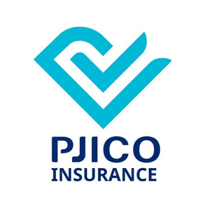 PJICO Gia Định